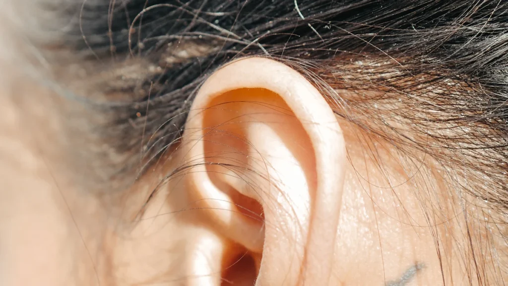 Understanding How In-Ear Monitors Deliver High-Quality Audio for Musicians